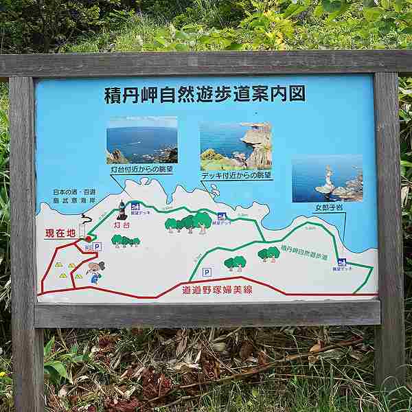 看板 積丹岬自然遊歩道案内図