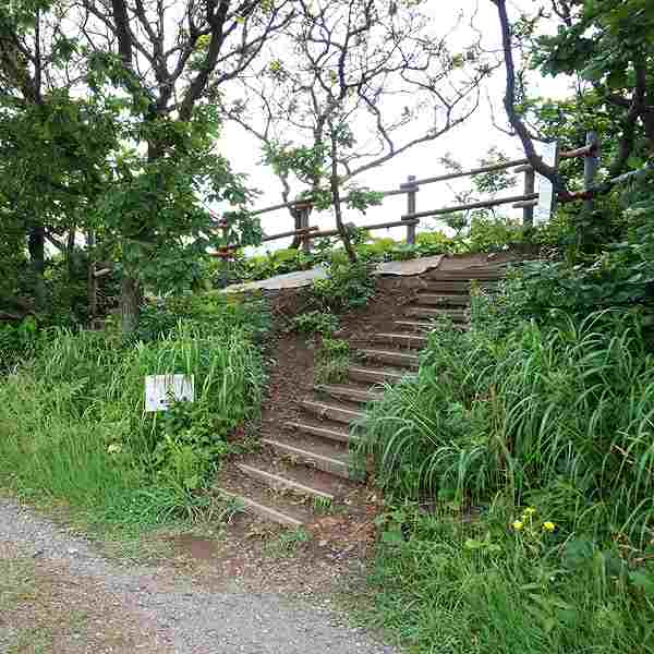 積丹岬・島武意海岸 展望台
