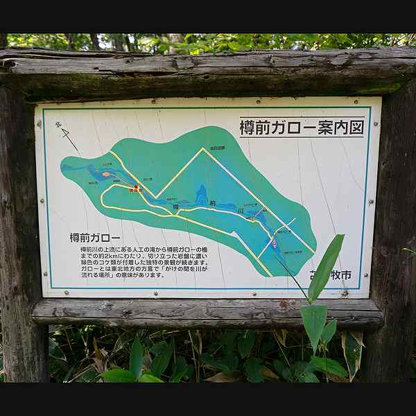 看板 樽前ガロー案内図