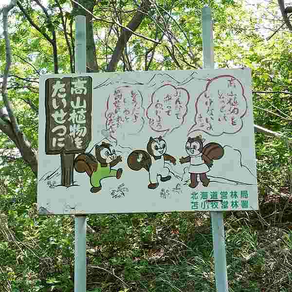 看板 高山植物を大切に