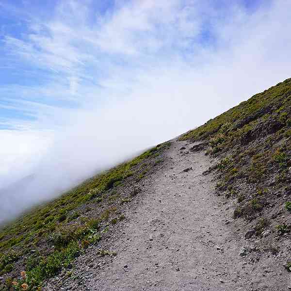 樽前山 登山道
