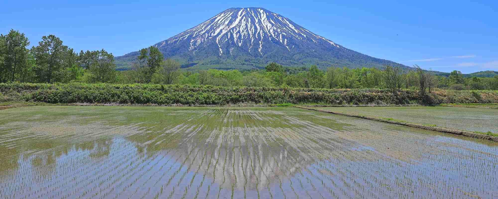 羊蹄山