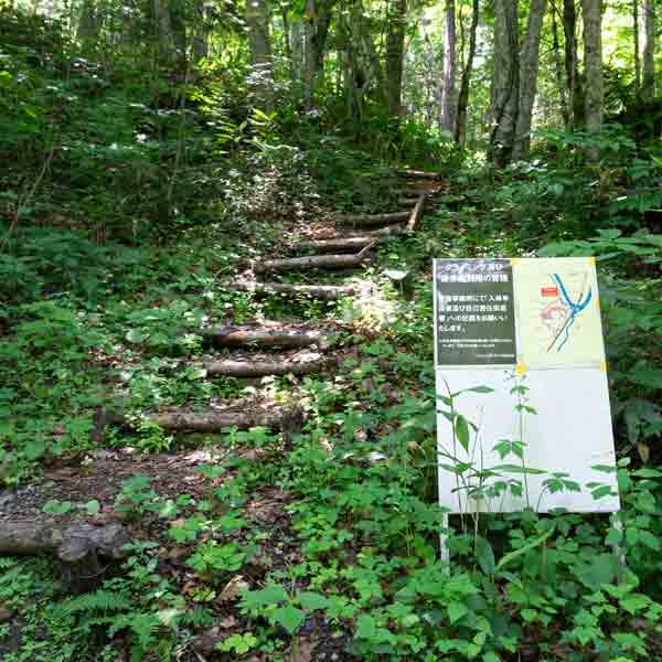 看板 散策路出入口