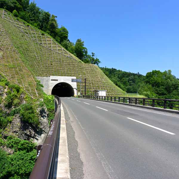 赤岩青巌峡 赤岩橋