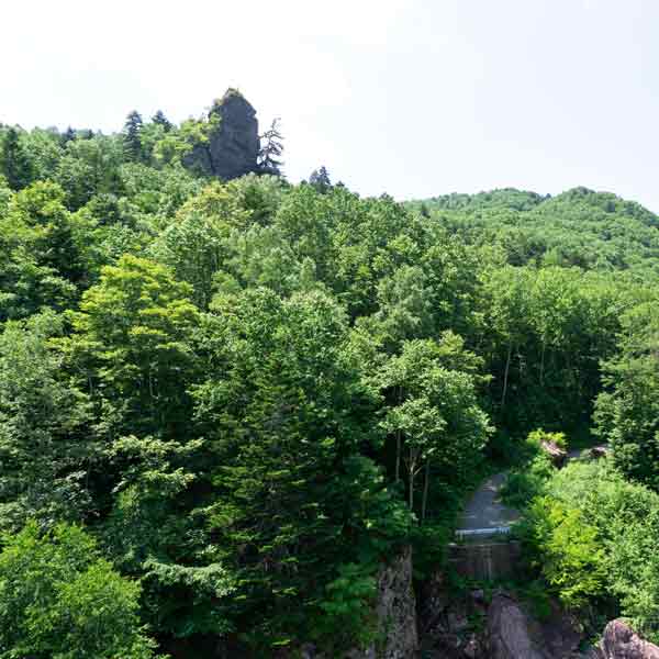 赤岩青巌峡 ローソク岩