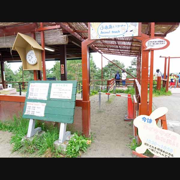 旭山動物園 こども牧場 ふれあいコーナー