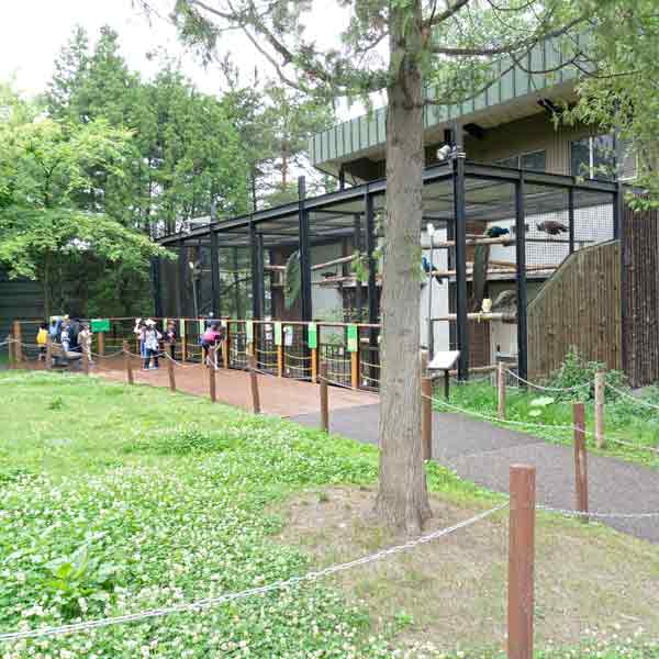 旭山動物園 クジャク舎