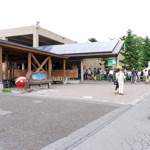 旭山動物園 ほっきょくぐま館