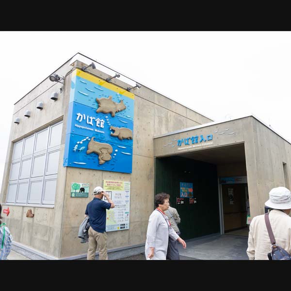 旭山動物園 かば館