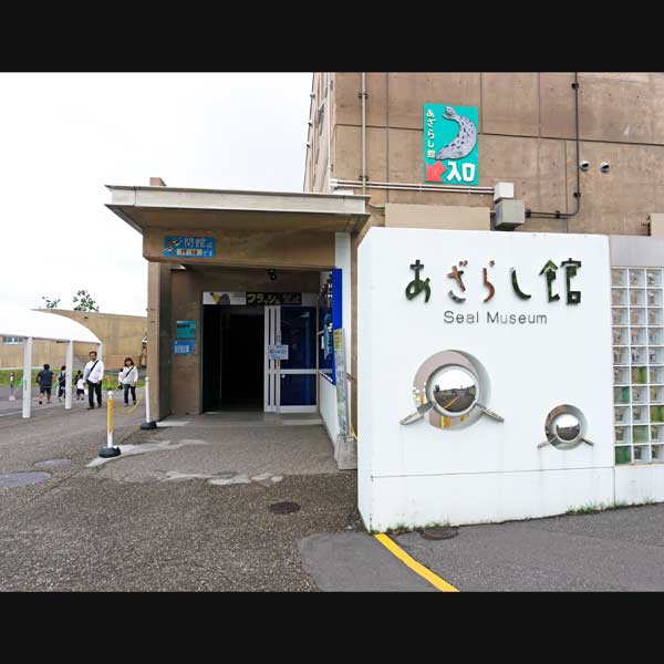 旭山動物園 あざらし館