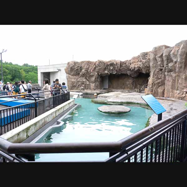 旭山動物園 あざらし館 屋外放飼場