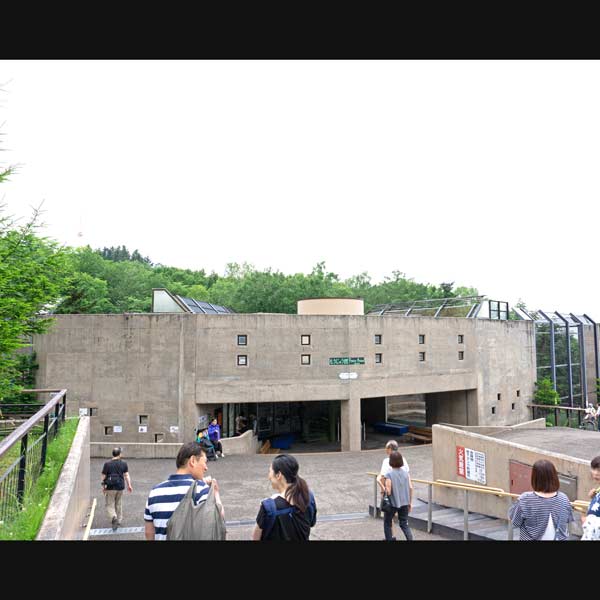 旭山動物園 猛獣館