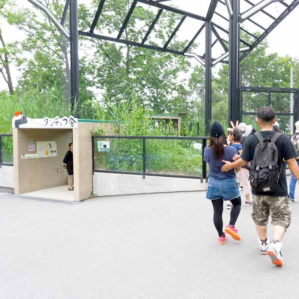 旭山動物園 タンチョウ舎