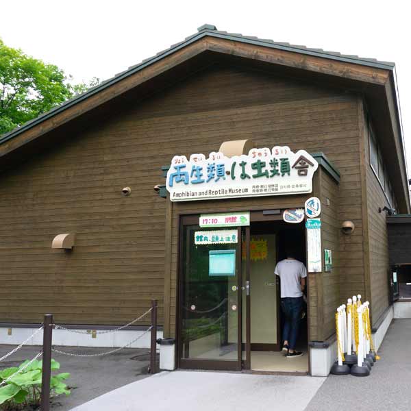 旭山動物園 両生類・は虫類舎
