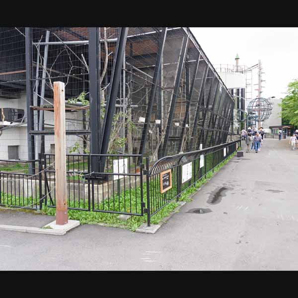 旭山動物園 サル舎