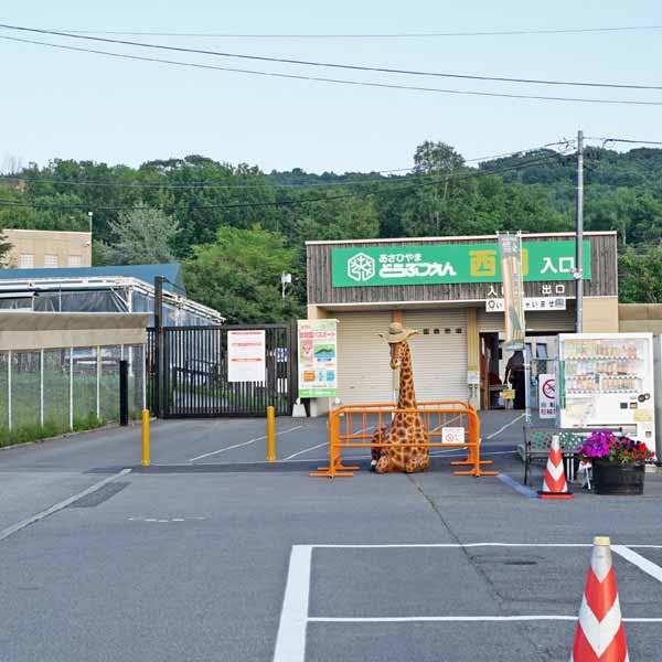 旭山動物園 駐車場