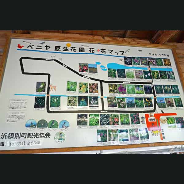看板 ベニヤ原生花園 花・花マップ