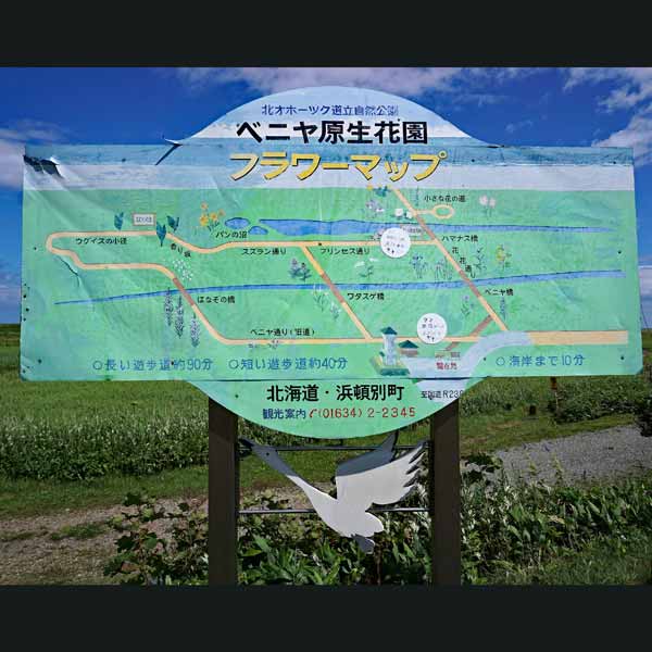 看板 ベニヤ原生花園フラワーマップ