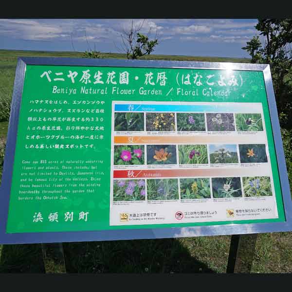看板 ベニヤ原生花園・花暦について