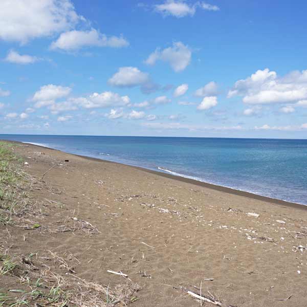 ベニヤ原生花園 オホーツク海
