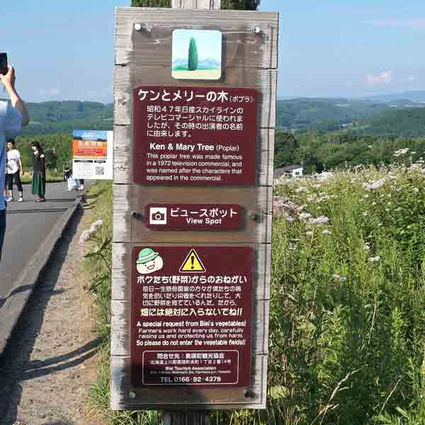 看板 ケンとメリーの木について