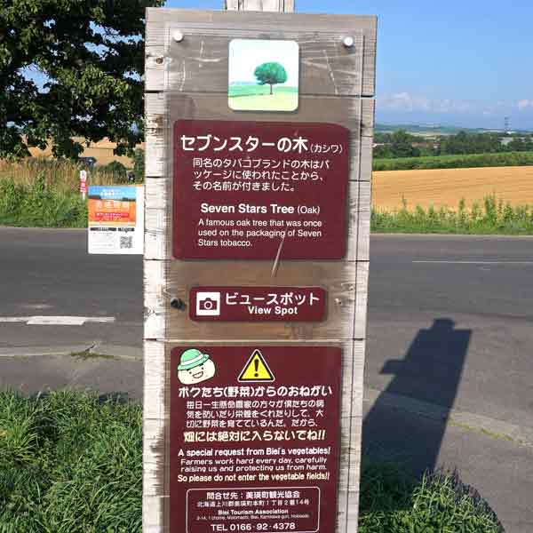 看板 セブンスターの木について