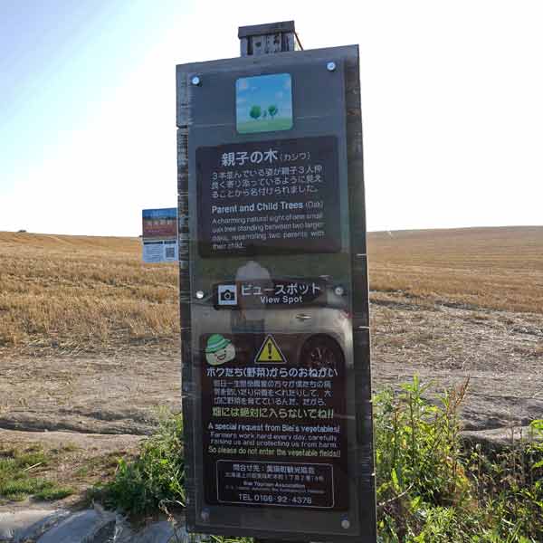 看板 親子の木について