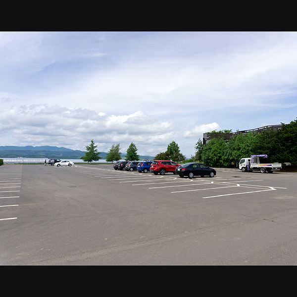 ファーム富田 ラベンダーイースト
