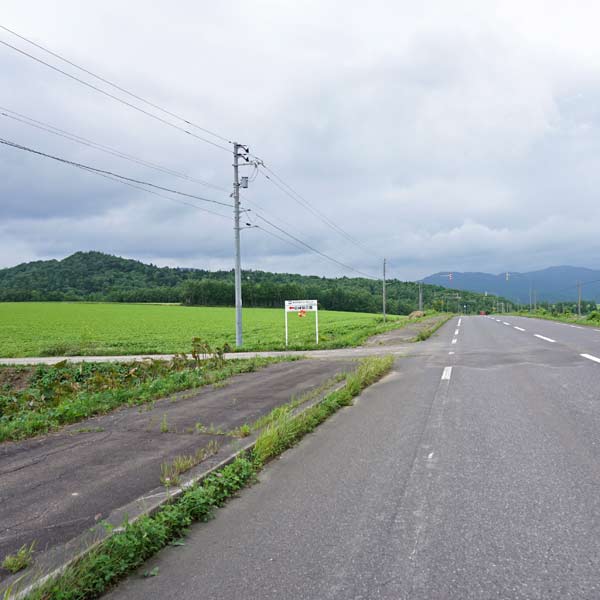 幌加内そばの花 白絨毯の畑 道