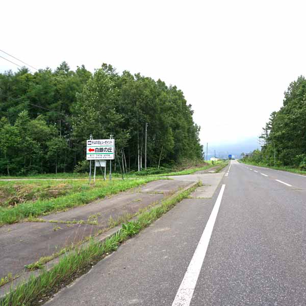 幌加内そばの花 白銀の丘 道