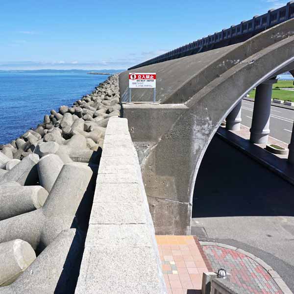 北防波堤ドーム ドームの上