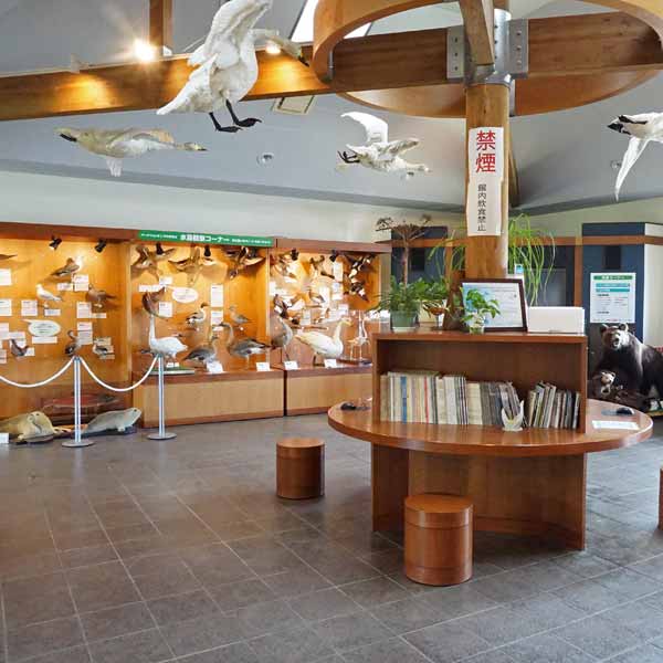 クッチャロ湖 水鳥観察館