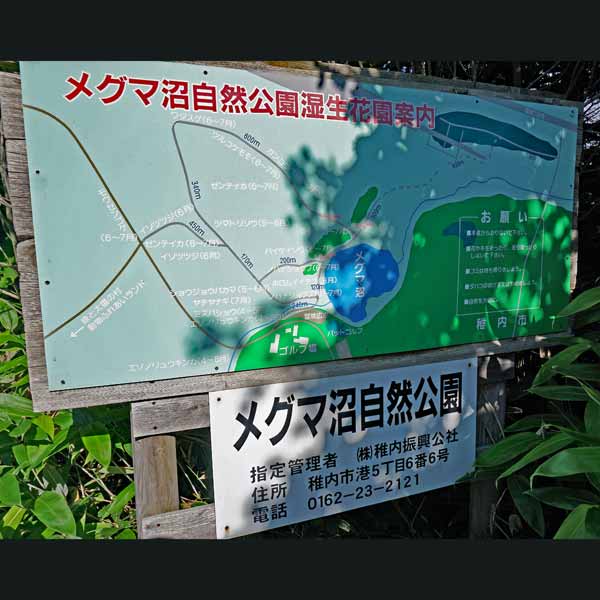 看板 メグマ沼自然公園湿生花園案内