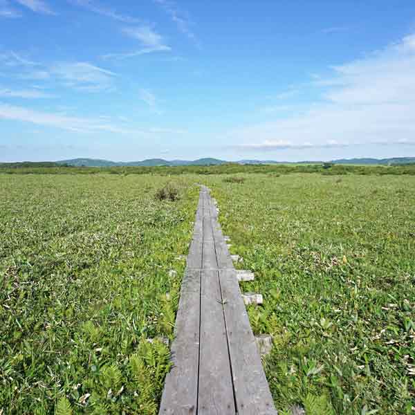 メグマ沼自然公園 メグマ沼湿原