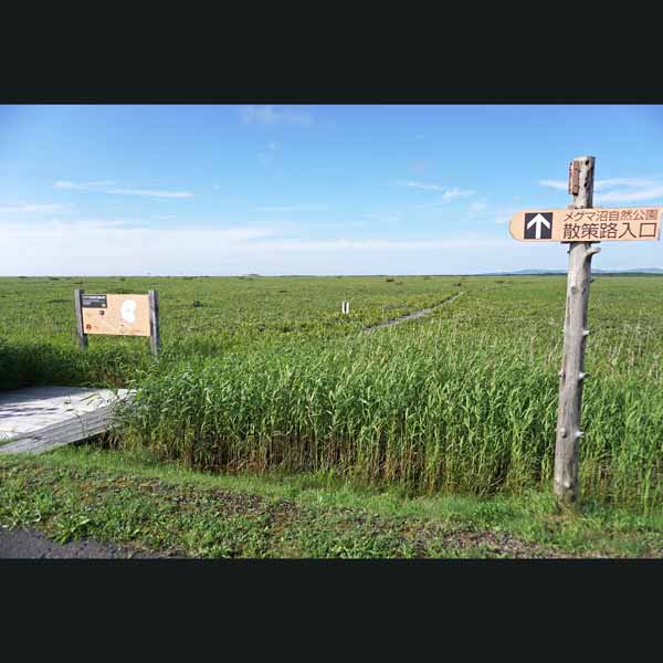 メグマ沼自然公園 道路側出入口