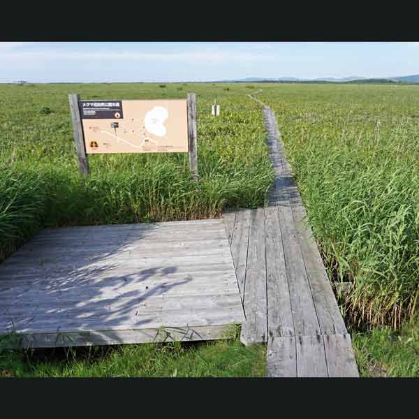 メグマ沼自然公園 分岐