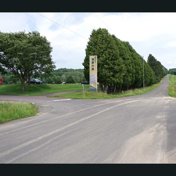 名寄のひまわり サンピラーパーク なよろ健康の森