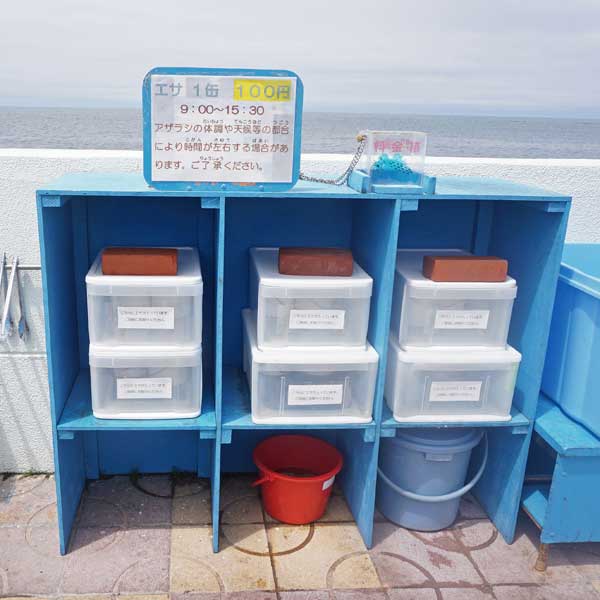 ノシャップ岬 ノシャップ寒流水族館 アザラシ