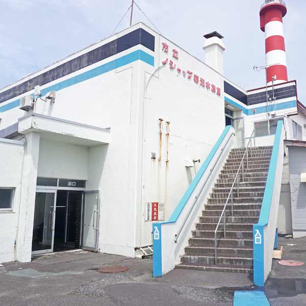 ノシャップ岬 ノシャップ寒流水族館 ルート