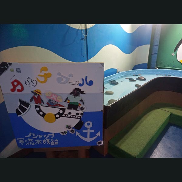 ノシャップ岬 ノシャップ寒流水族館 タッチプール