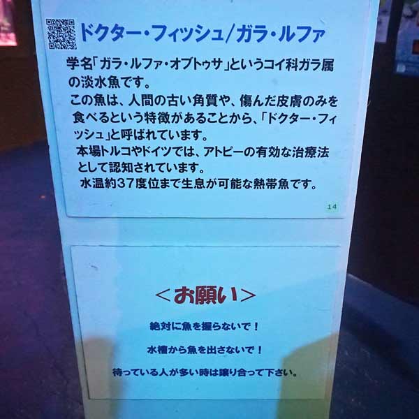 看板 ドクターフィッシュについて
