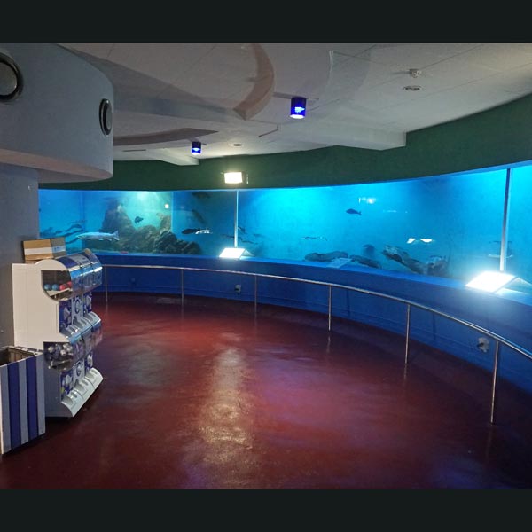 ノシャップ岬 ノシャップ寒流水族館 回遊水槽