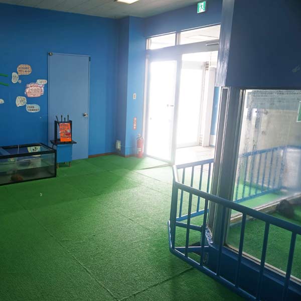 ノシャップ岬 ノシャップ寒流水族館 館内出口