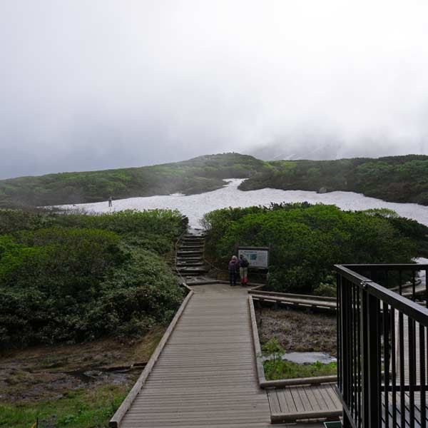 沼の平 探勝路