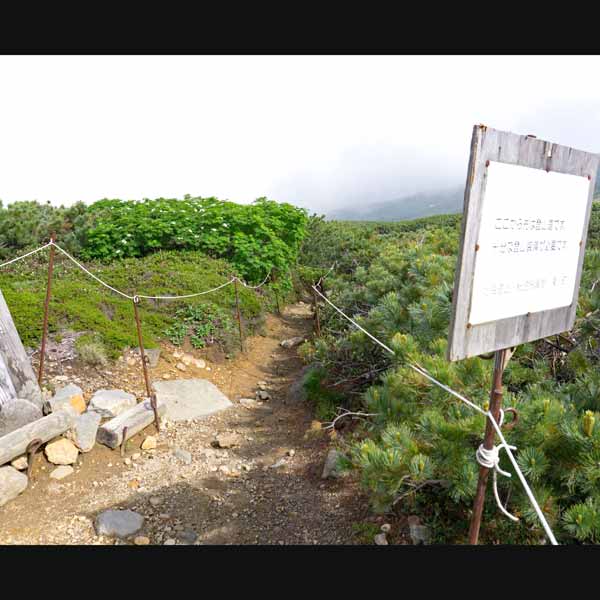 沼の平 愛山渓・中岳登山道出入口