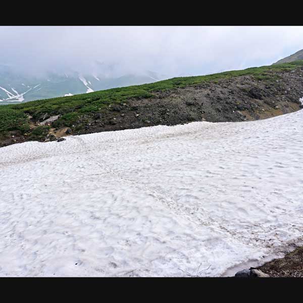 沼の平 雪渓