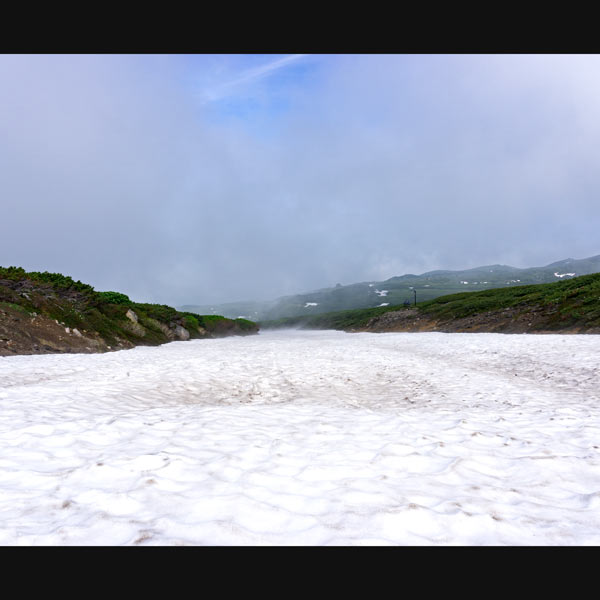 沼の平 雪渓