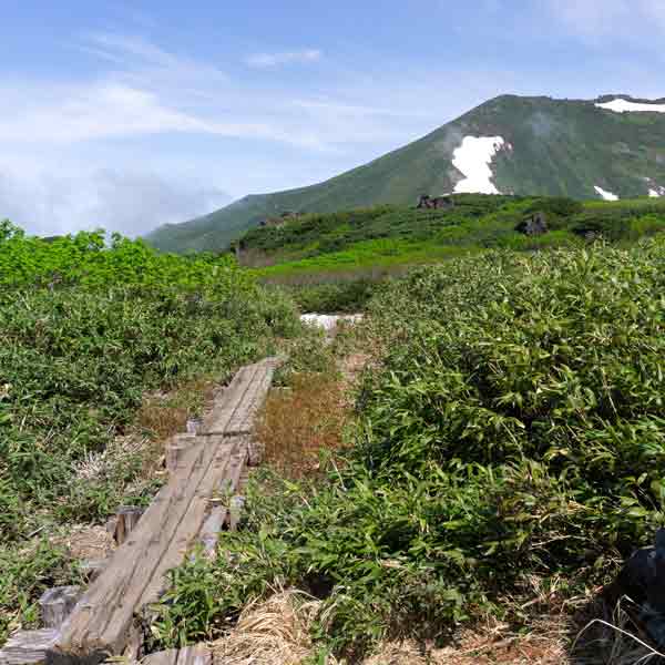 沼の平 裾合平分岐