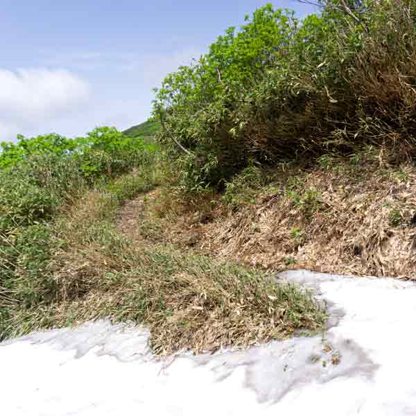 沼の平 愛山渓・中岳登山道