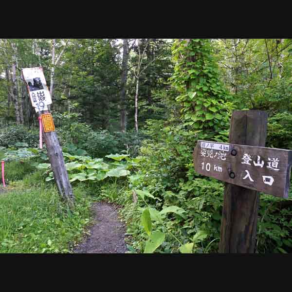 沼の平 愛山渓登山口